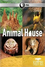 The Animal House movie poster