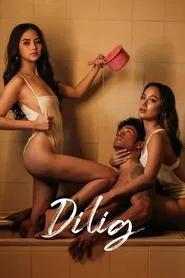 Poster do filme Dilig