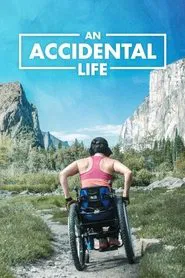 An Accidental Life movie poster