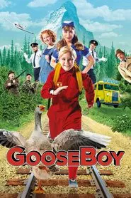 Poster do filme Gooseboy