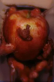 Pudding movie poster