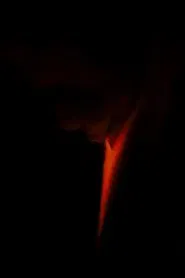 A Short Film About Vanishing movie poster
