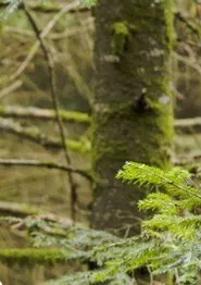 Coeur Glacé Battant movie poster