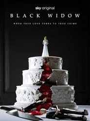 Black Widow tv show poster