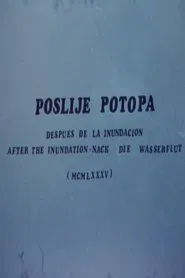 After the Inundation movie poster