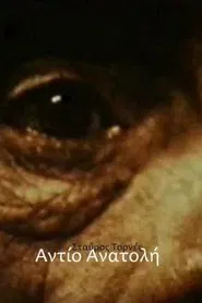 Addio Anatolia movie poster