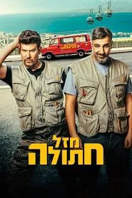 Cat's Luck movie poster