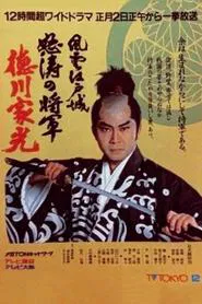 Crisis at Edo Castle - Angry Shogun Tokugawa Iemitsu tv show poster