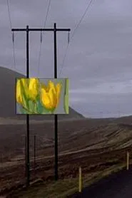 Forged Paintings in Real Icelandic Landscapes movie poster