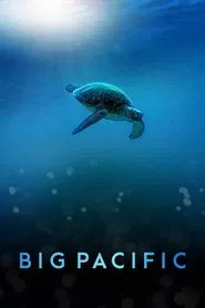 Poster da série Big Pacific