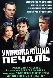 Multiplying Sadness tv show poster