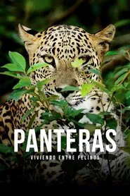 Panteras: viviendo entre felinos movie poster