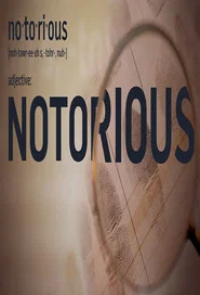 Notorious tv show poster