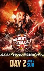 Poster do filme NJPW Wrestle Kingdom 14: Night 2