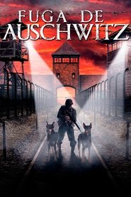 Poster do filme Fuga de Auschwitz