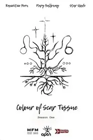 Colour of Scar Tissue tv show poster
