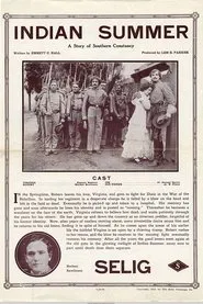 Poster do filme Indian Summer