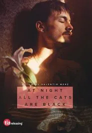 Poster do filme At Night All the Cats Are Black