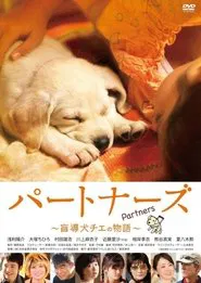 Poster do filme Partners