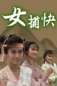 Ladies of the Law tv show poster