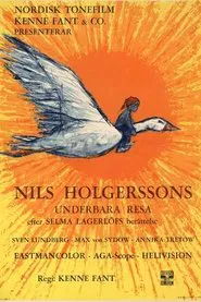 Poster do filme Wonderful Adventures of Nils