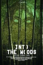 Poster do filme Into the Woods