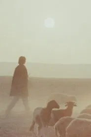 Woman is Sweeter movie poster