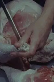 Poster do filme Forced to Disappear