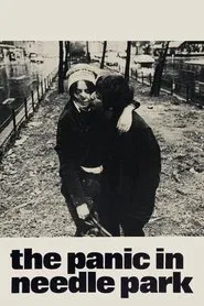 The Panic in Needle Park movie poster
