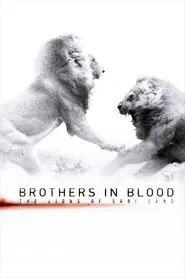 Brothers in Blood: The Lions of Sabi Sand movie poster