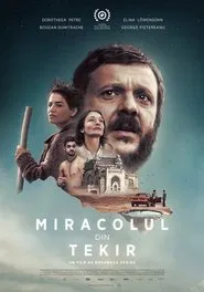 Poster do filme The Miracle of Tekir