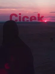 Çiçek movie poster