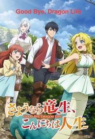Good Bye, Dragon Life tv show poster