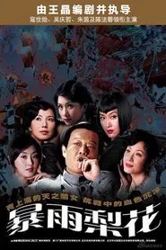 Poster da série 暴雨梨花