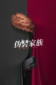 Disguised Family tv show poster