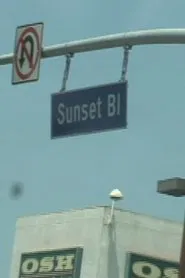 Sunset Boulevard movie poster