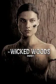 Poster do filme Perfidy