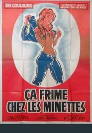 Poster do filme Ça frime chez les minettes
