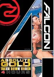 Absolute Gold: Taken Down Under: Falcon Four Hours movie poster