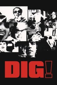 Dig! movie poster