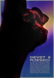 Nine Months movie poster