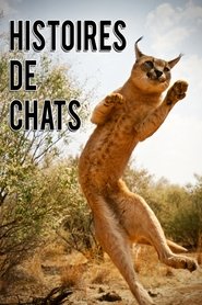 The Story of Cats tv show poster