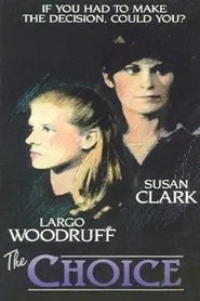 Poster do filme The Choice
