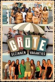 Grote Gezinnen, Grote Vakanties tv show poster