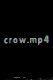 crow.mp4 movie poster