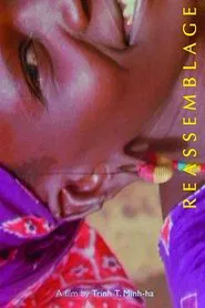 Reassemblage: From the Firelight to the Screen movie poster