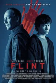 Flint movie poster