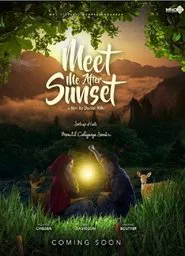 Meet Me After Sunset movie poster