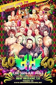 Poster do filme House of Hardcore 40