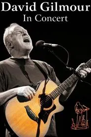 David Gilmour: In Concert movie poster